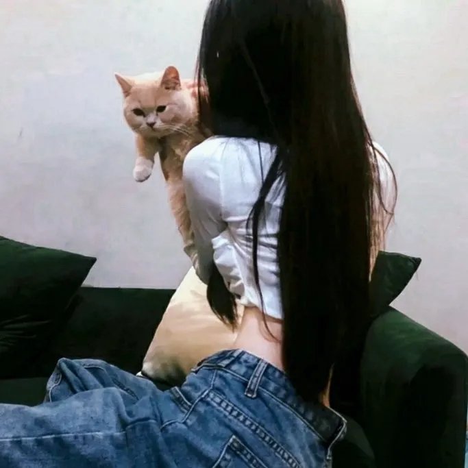 快乐有罪 在线观看